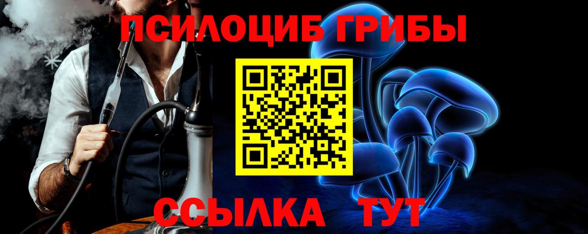 Псилоцибиновые грибы MAGIC MUSHROOMS  Вход с VPN  Пушкино  Галлюциногенные грибы мухоморы 