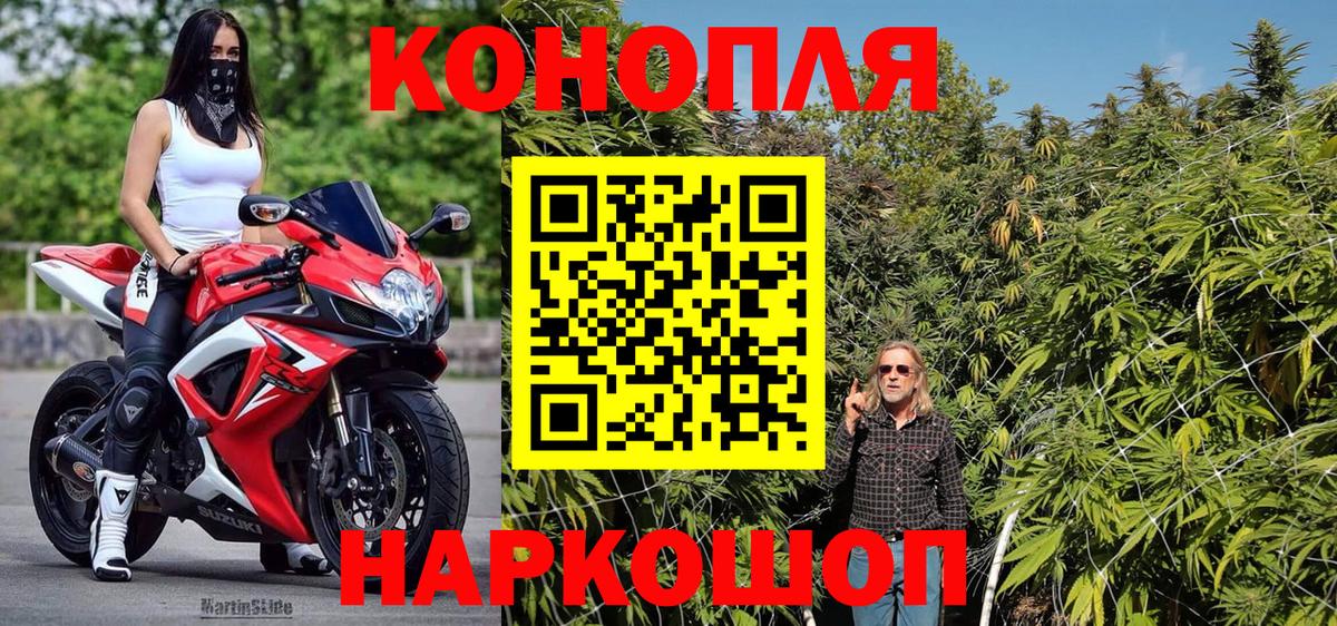 Шишки марихуана конопля Пушкино